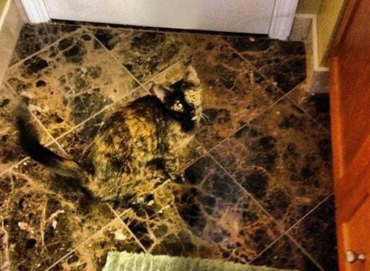Perfect Camouflage (21 pics)