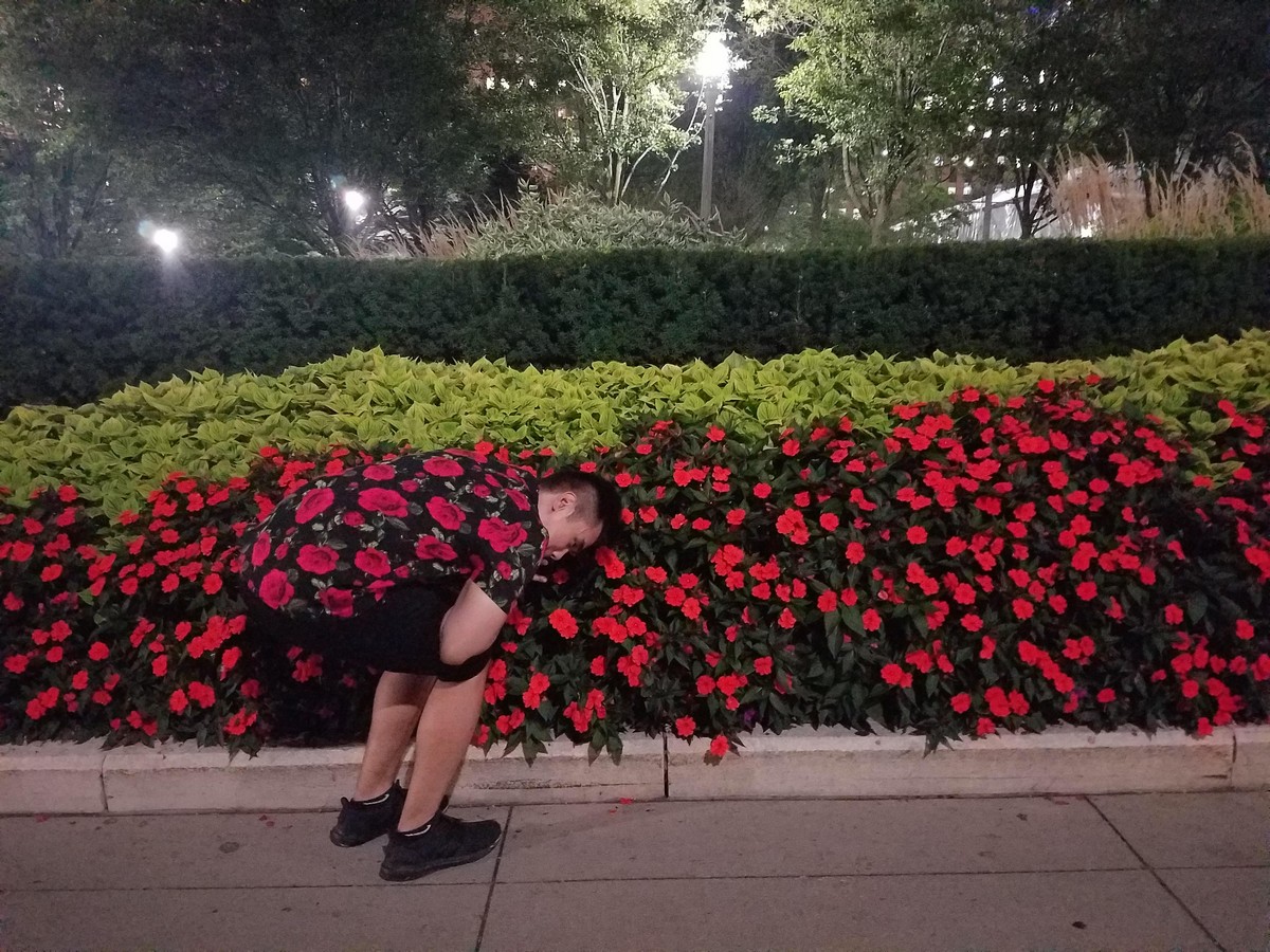 Perfect Camouflage (21 pics)