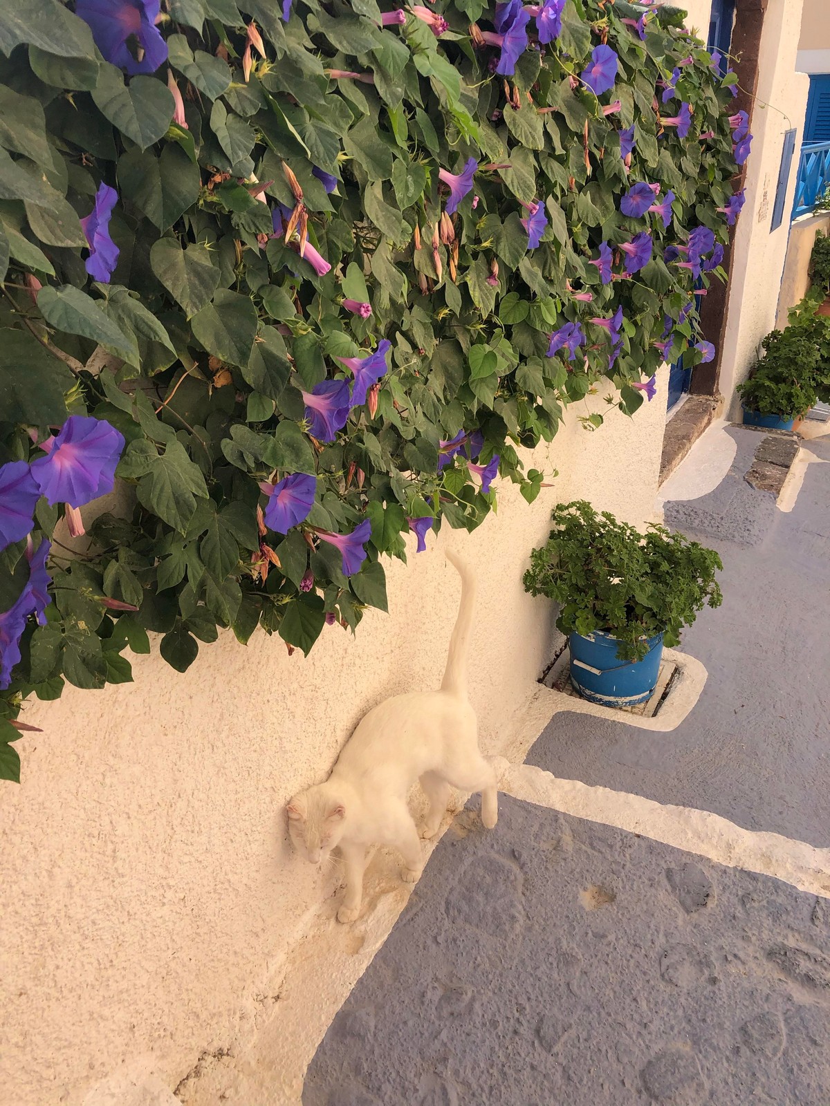 Perfect Camouflage (21 pics)