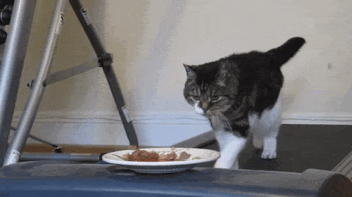 Acid GIFs, December 25 (25 gifs) Acid GIFs, December 25 (25 gifs)