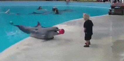 Acid GIFs, December 25 (25 gifs) Acid GIFs, December 25 (25 gifs)