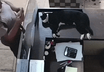Acid GIFs, December 25 (25 gifs) Acid GIFs, December 25 (25 gifs)