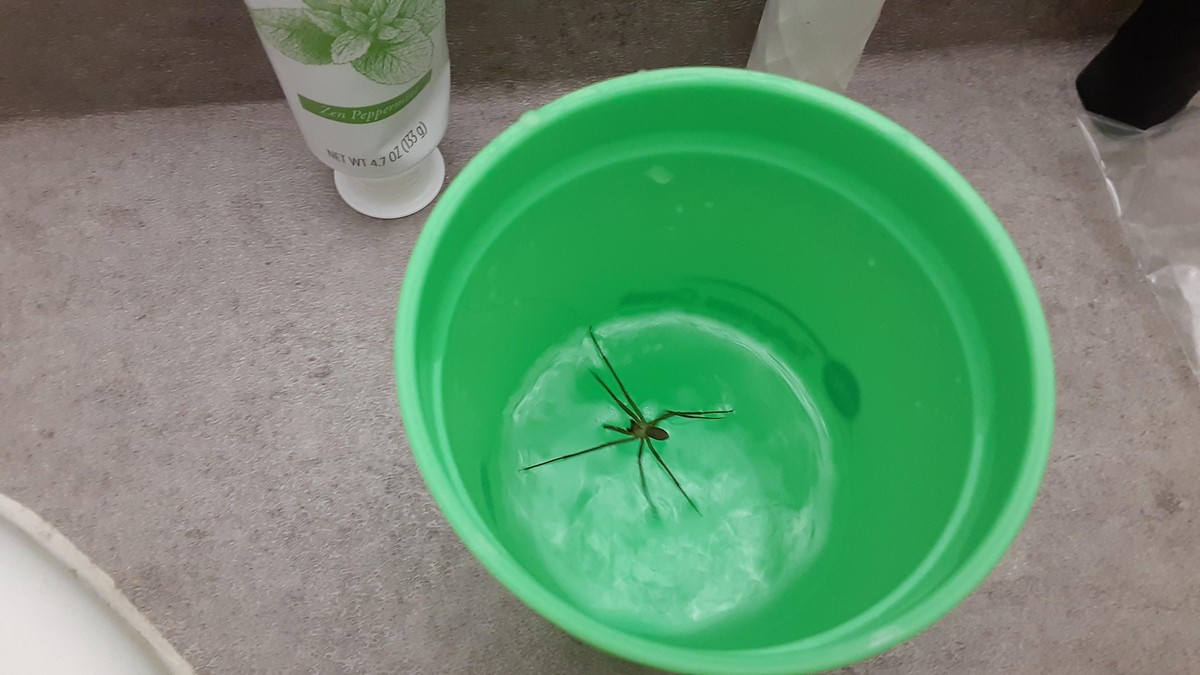 Bad Days Happen (23 pics)