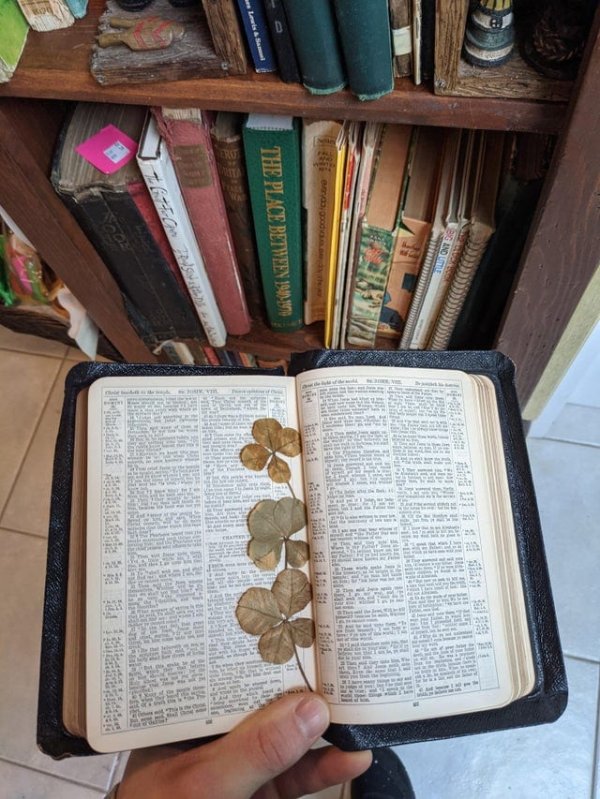 Fascinating Finds From The Past (17 pics)