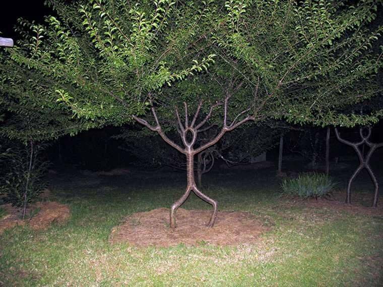 Daily Pictures. Part 1 (66 pics)