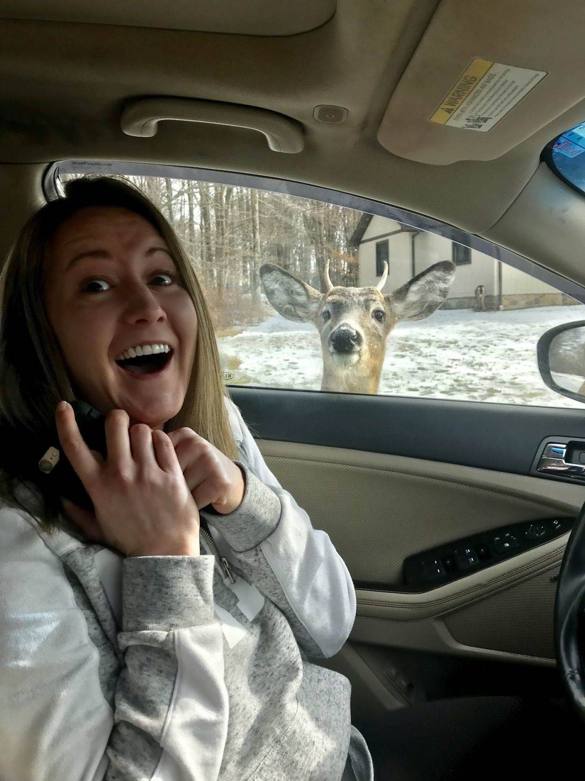 Daily Pictures. Part 1 (66 pics)