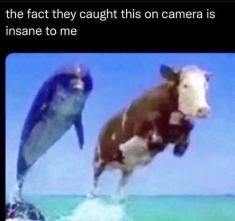 Daily Pictures. Part 2 (64 pics)