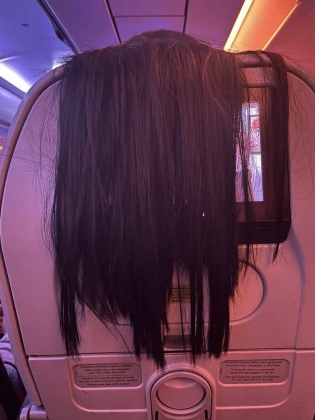 Horrible Passengers (22 pics)