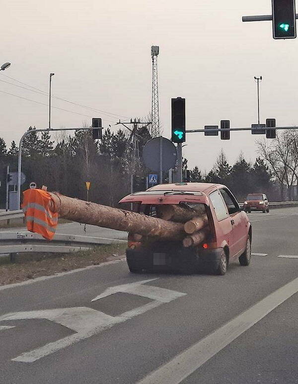 Wild Vehicles (20 pics)