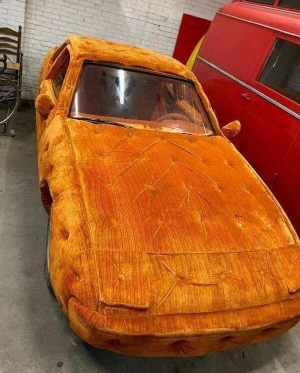 Wild Vehicles (20 pics)