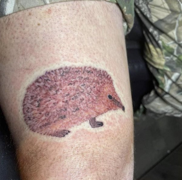 Failed Tattoos (18 pics)