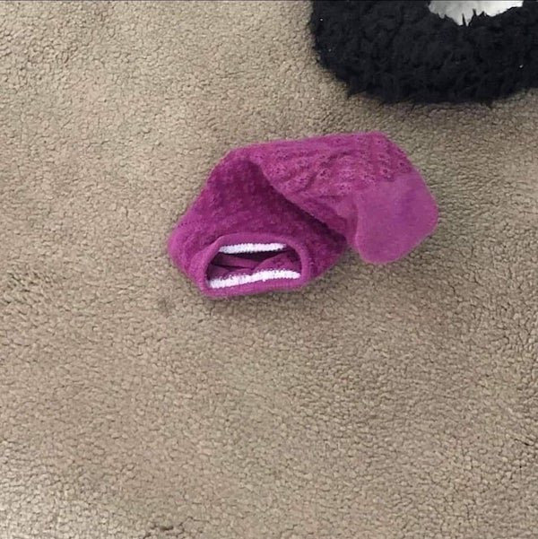 This Is Pareidolia (18 pics)