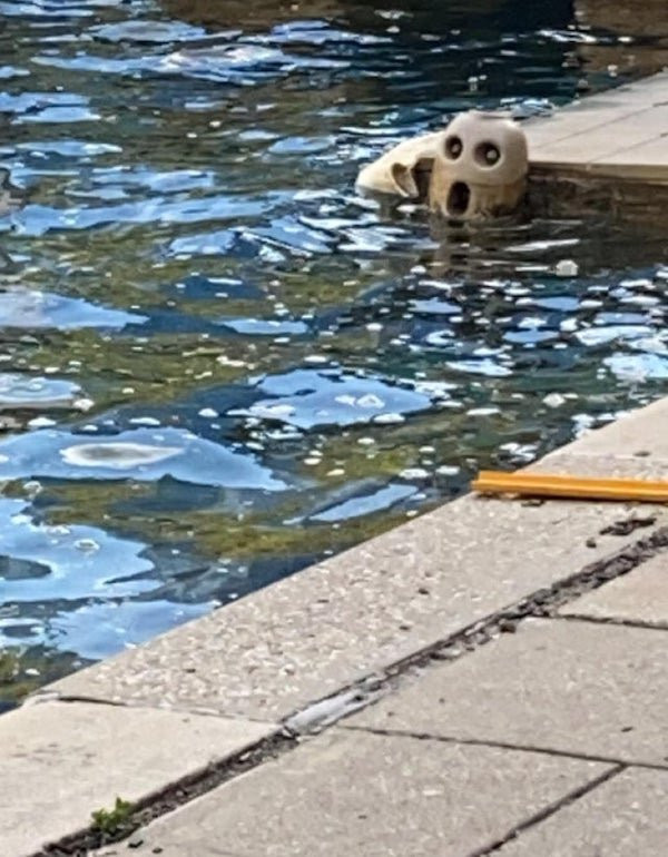 This Is Pareidolia (18 pics)