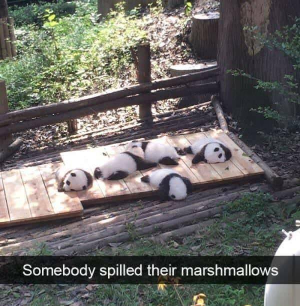 Daily Pictures. Part 2 (57 pics)