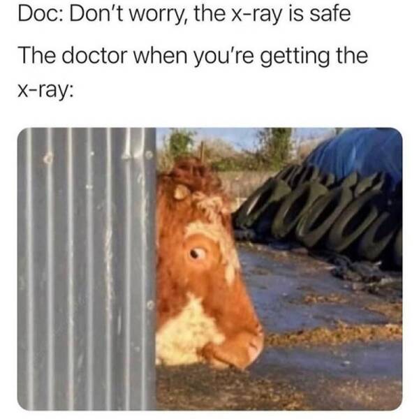 Daily Pictures. Part 2 (57 pics)