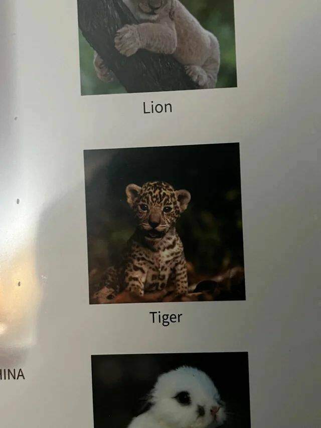 Daily Pictures. Part 1 (51 pics)