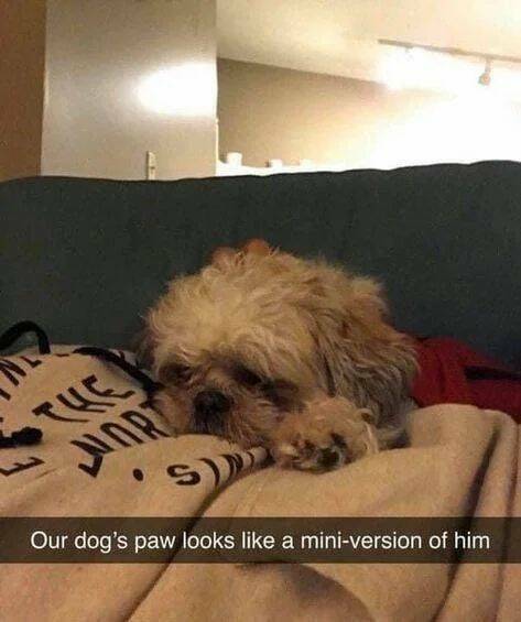Daily Pictures. Part 1 (51 pics)