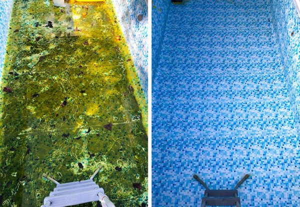 Before And After Cleaning (22 pics)
