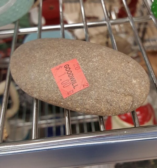 Odd Finds In Thrift Shops (16 pics)