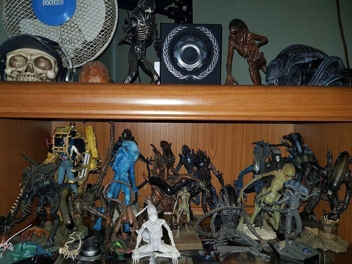 People Share Their Interesting Collections (20 pics)