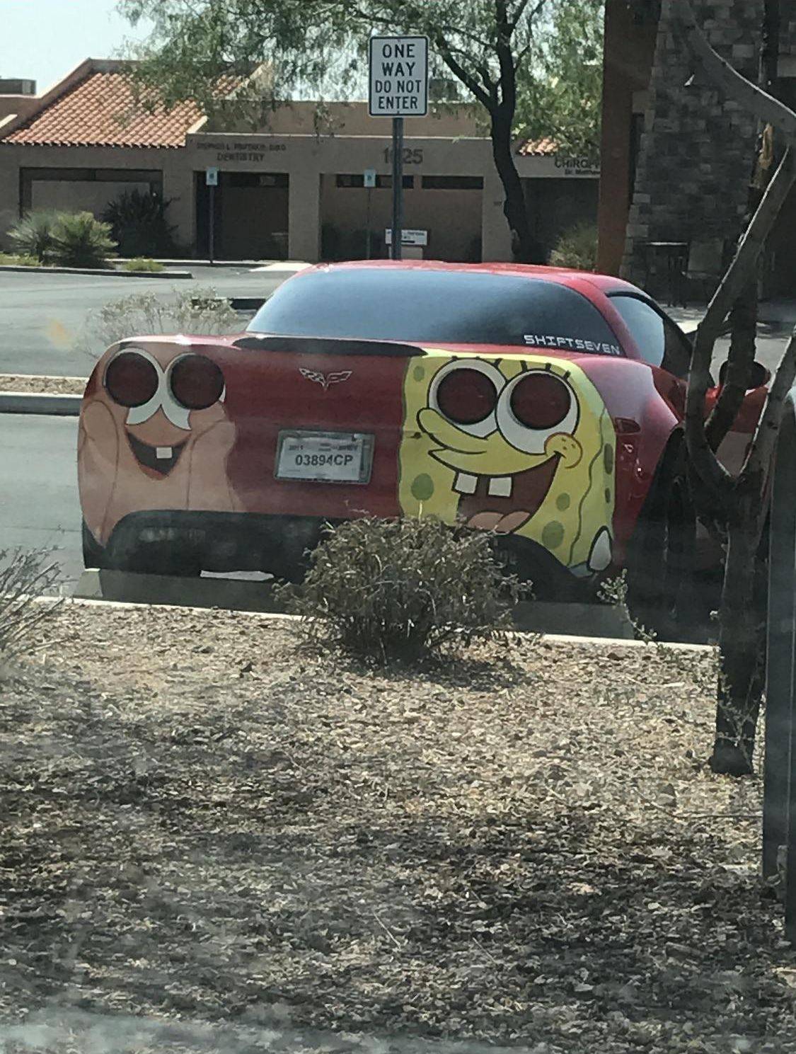 Daily Pictures. Part 1 (61 pics)
