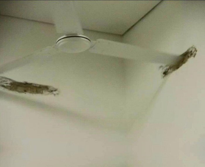 Really Strange Finds (17 pics)