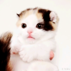 Acid GIFs, January 2 (25 gifs)