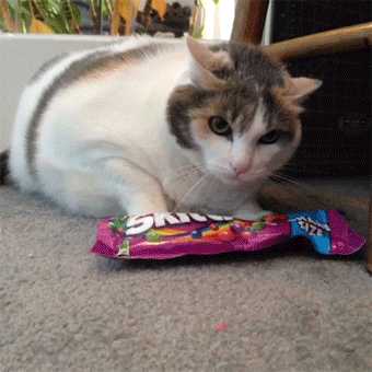 Acid GIFs, January 2 (25 gifs)