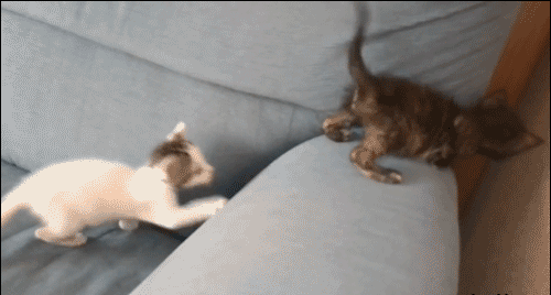 Acid GIFs, January 2 (25 gifs)