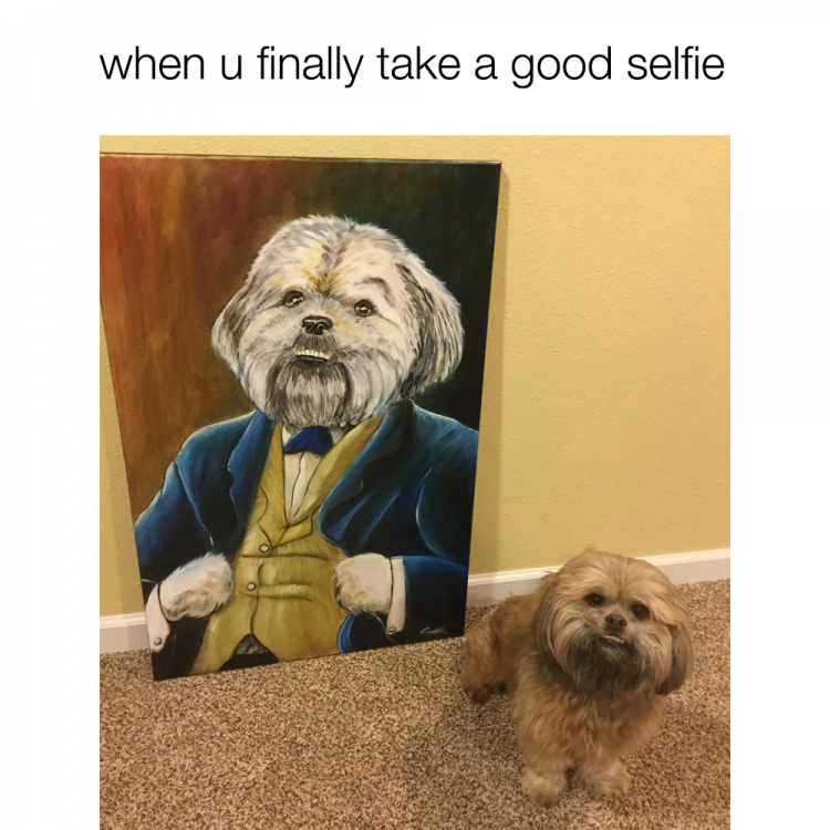 Daily Pictures. Part 2 (61 pics)