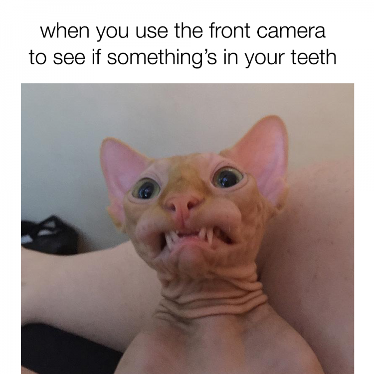 Daily Pictures. Part 2 (61 pics)