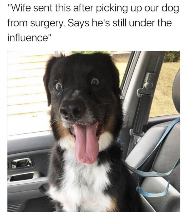 Daily Pictures. Part 2 (61 pics)