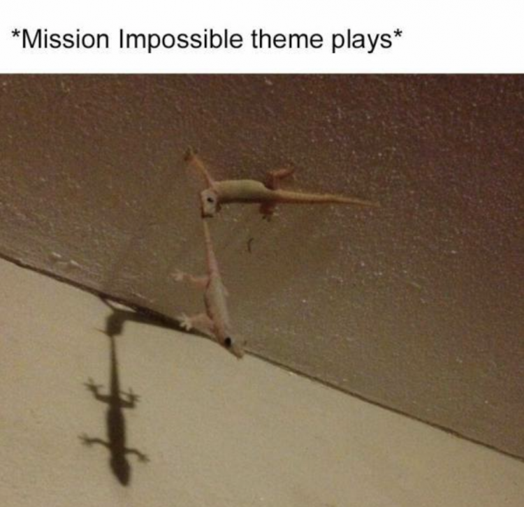 Daily Pictures. Part 2 (61 pics)