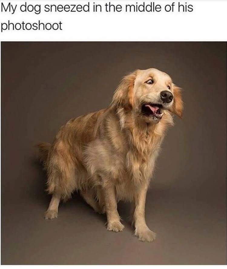 Daily Pictures. Part 2 (61 pics)