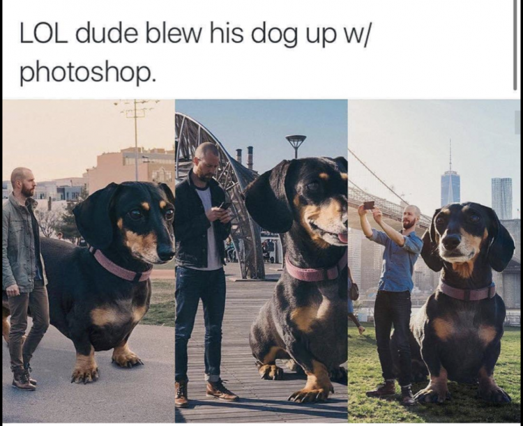 Daily Pictures. Part 2 (61 pics)