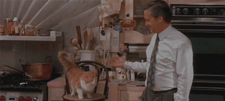 Acid GIFs, January 3 (25 gifs) Acid GIFs, January 3 (25 gifs)