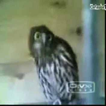 Acid GIFs, January 3 (25 gifs) Acid GIFs, January 3 (25 gifs)