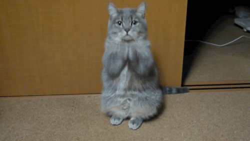 Acid GIFs, January 3 (25 gifs) Acid GIFs, January 3 (25 gifs)