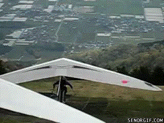 Acid GIFs, January 3 (25 gifs) Acid GIFs, January 3 (25 gifs)