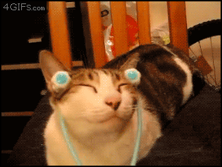 Acid GIFs, January 3 (25 gifs) Acid GIFs, January 3 (25 gifs)