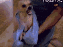 Acid GIFs, January 3 (25 gifs) Acid GIFs, January 3 (25 gifs)