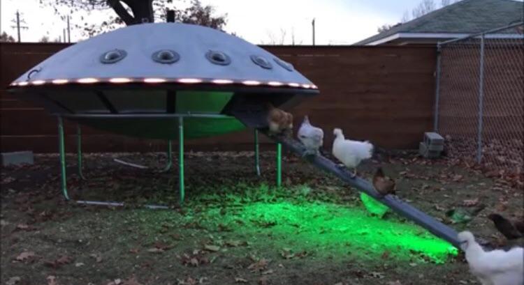 Interesting DIY Crafts (17 pics)