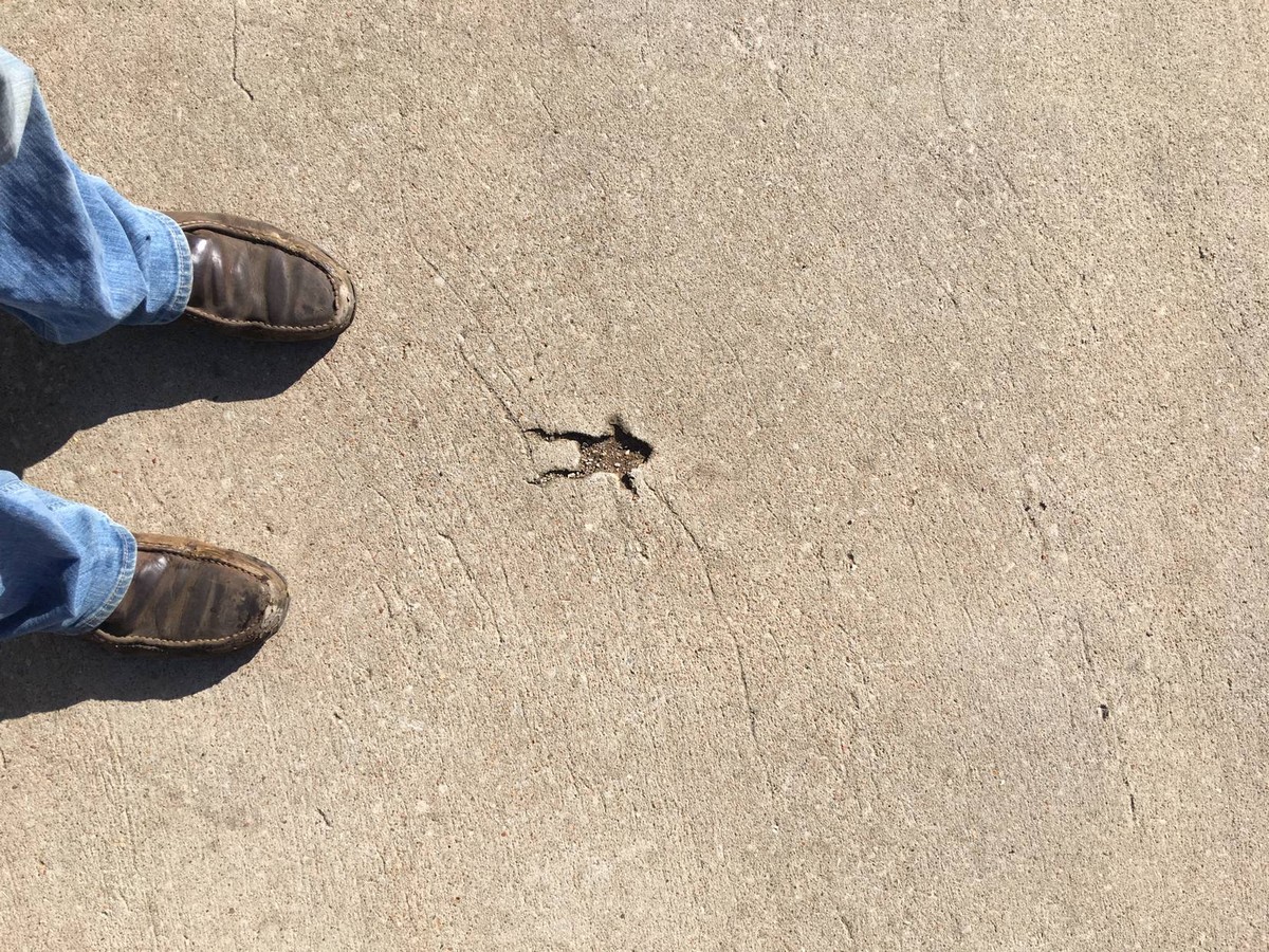 Bad Days Happen (27 pics)
