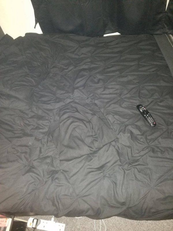Perfect Camouflage (20 pics)