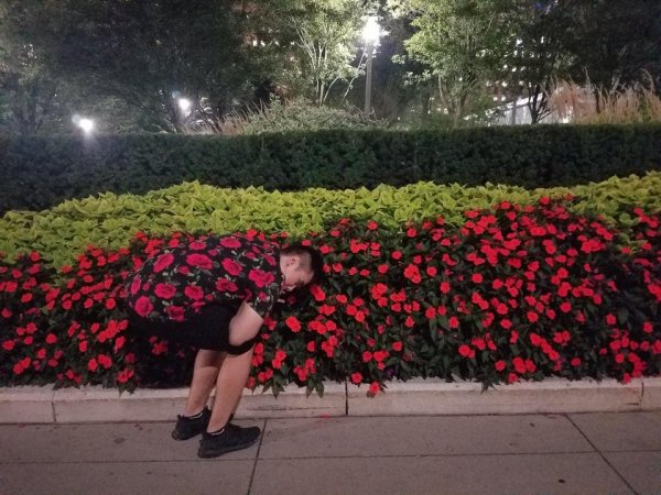 Perfect Camouflage (20 pics)