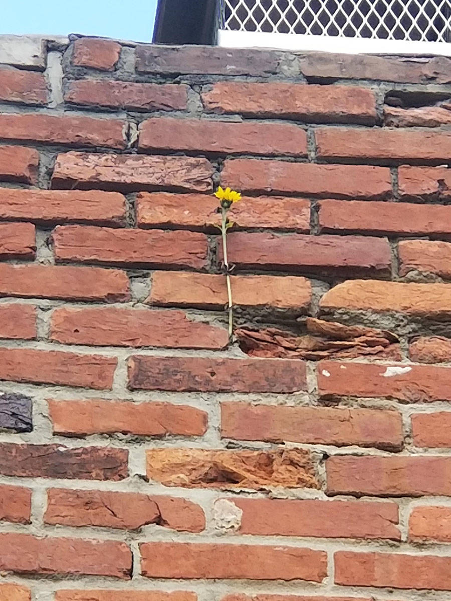 Daily Pictures. Part 1 (70 pics)