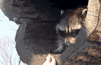 Acid GIFs, January 6 (25 gifs) Acid GIFs, January 6 (25 gifs)