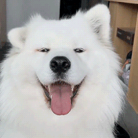 Acid GIFs, January 6 (25 gifs) Acid GIFs, January 6 (25 gifs)