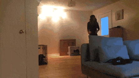 Acid GIFs, January 6 (25 gifs) Acid GIFs, January 6 (25 gifs)
