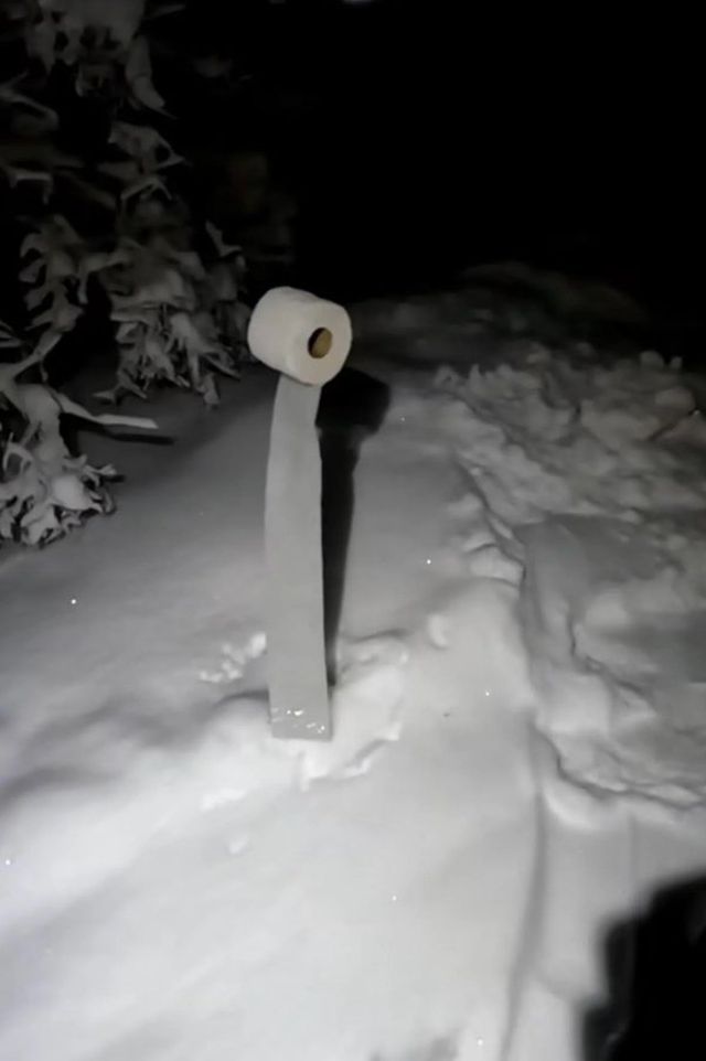 What Is Going On Here? (29 pics)